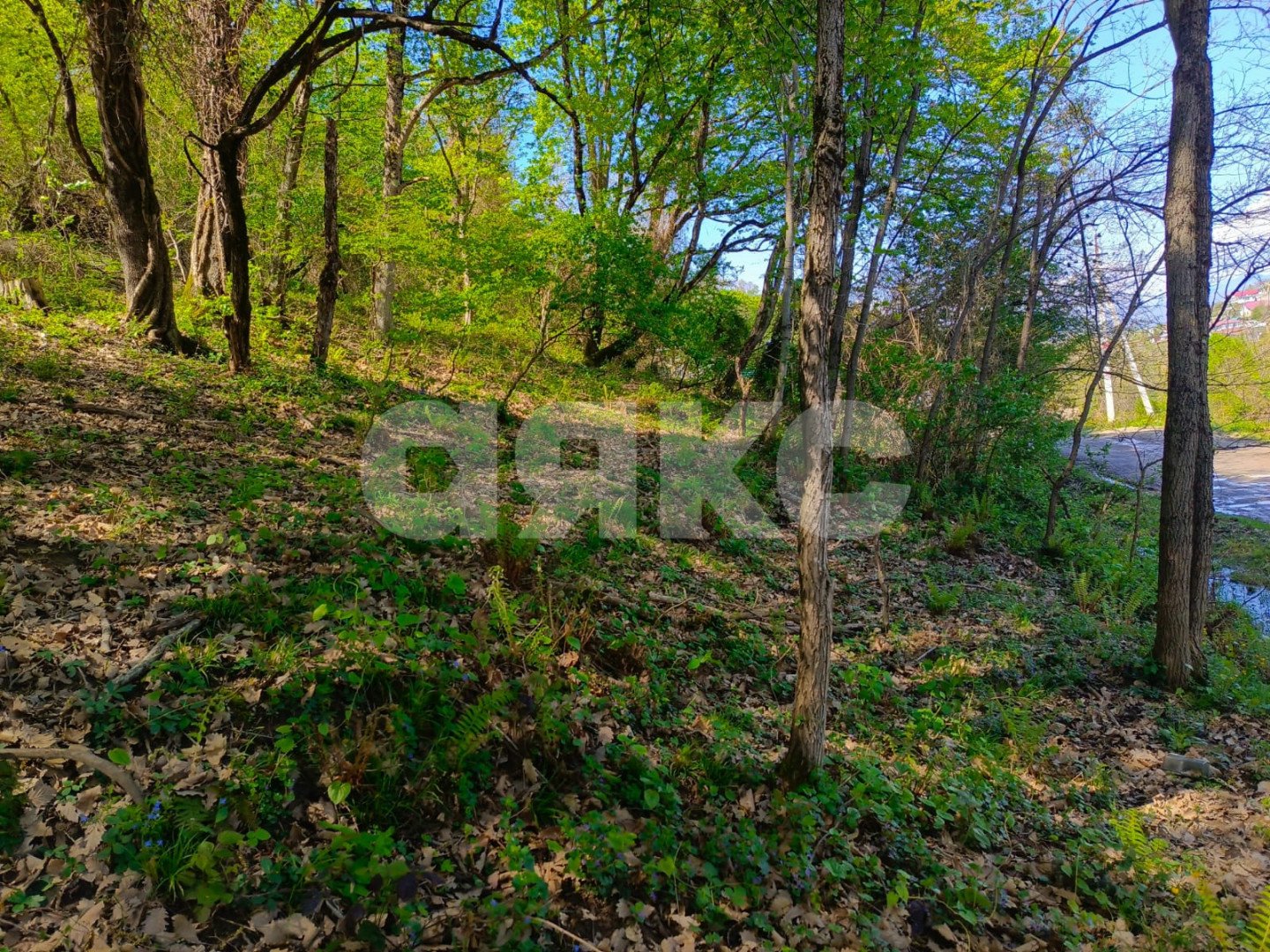 Фото №6: Личное подсобное хозяйство 8.7 сот. - Орёл-Изумруд, р. Адлерский, ул. 10 лет Октября