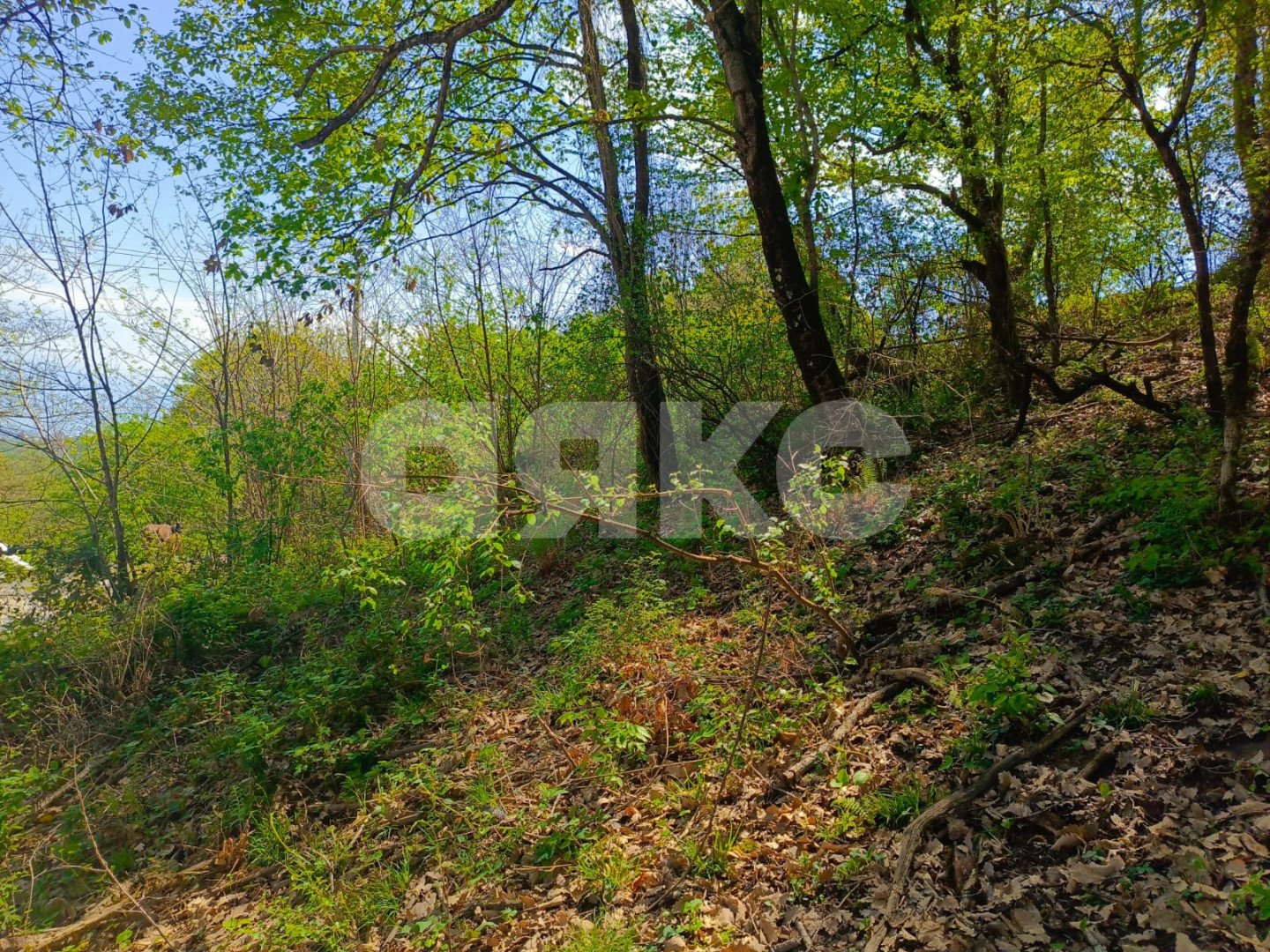 Фото №10: Личное подсобное хозяйство 8.7 сот. - Орёл-Изумруд, р. Адлерский, ул. 10 лет Октября