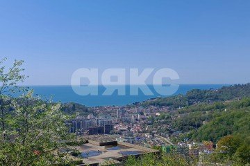 Фото №1: Личное подсобное хозяйство - Орёл-Изумруд, р. Адлерский, ул. 10 лет Октября