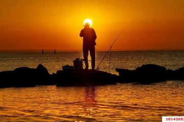 Фото №2: Земельный участок 4.26 сот. - СТ Меганом, ул. Рассветная