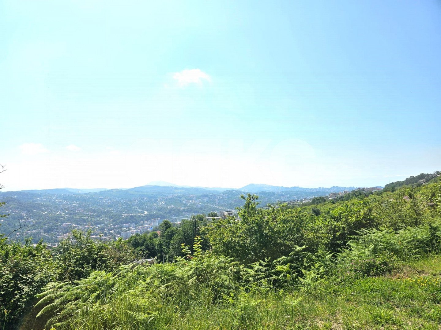 Фото №28: Студия 45 м² - Барановка (Хостинский район), Хостинский, счт Зефанос-6, ул. Армянская, 99А