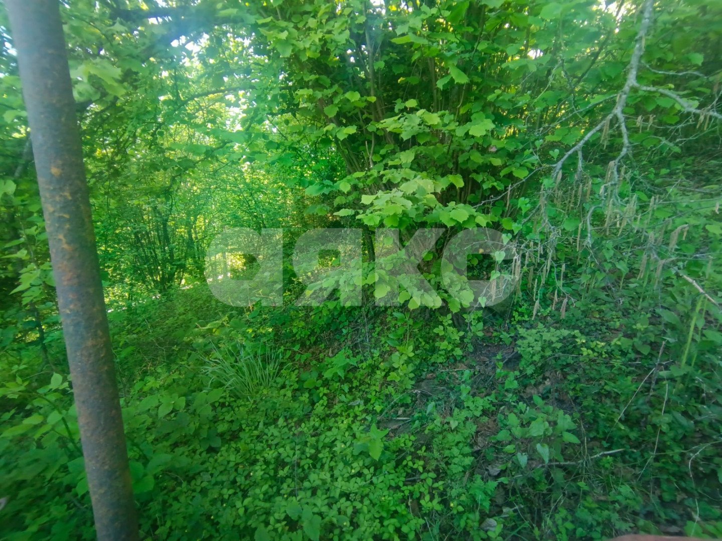 Фото №7: Дом 77 м² + 6.97 сот. - Калиновое Озеро, р. Адлерский, ул. Котельная, 1