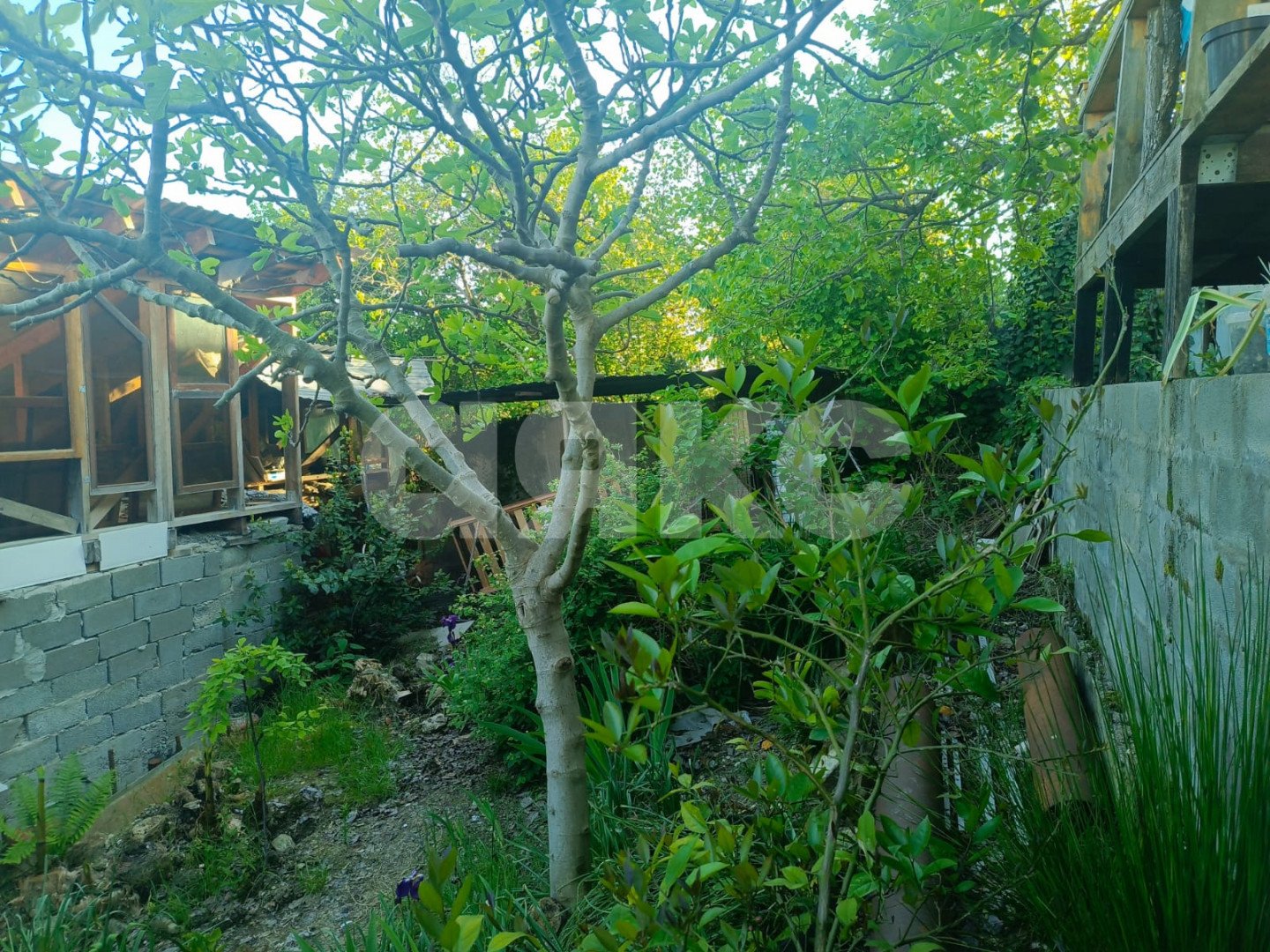 Фото №3: Дом 77 м² + 6.97 сот. - Калиновое Озеро, р. Адлерский, ул. Котельная, 1