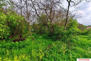 Фото №4: Земельный участок 20 сот. - Убинская, ул. Набережная, 11