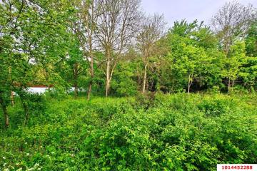 Фото №5: Земельный участок 20 сот. - Убинская, ул. Набережная, 11