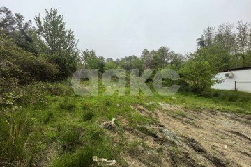 Фото №3: Личное подсобное хозяйство - Верхнее Буу, р. Лазаревский, ул. Холмская