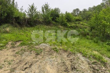 Фото №4: Личное подсобное хозяйство - Верхнее Буу, р. Лазаревский, ул. Холмская