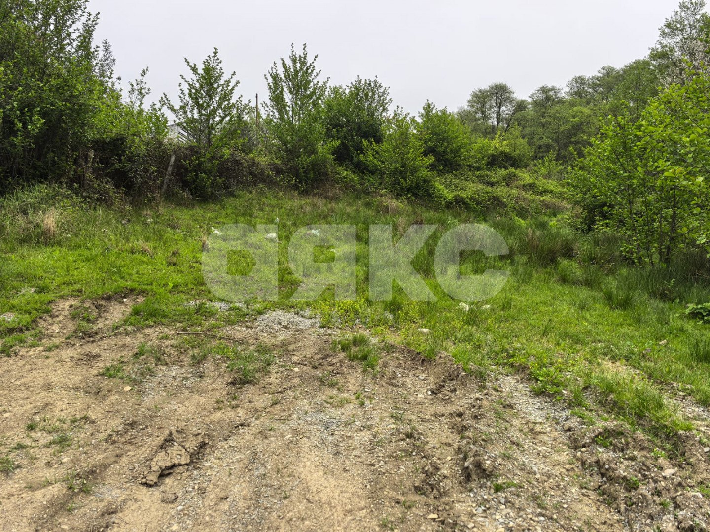 Фото №4: Личное подсобное хозяйство 6 сот. - Верхнее Буу, р. Лазаревский, ул. Холмская