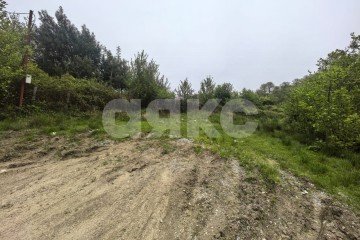 Фото №1: Личное подсобное хозяйство - Верхнее Буу, р. Лазаревский, ул. Холмская