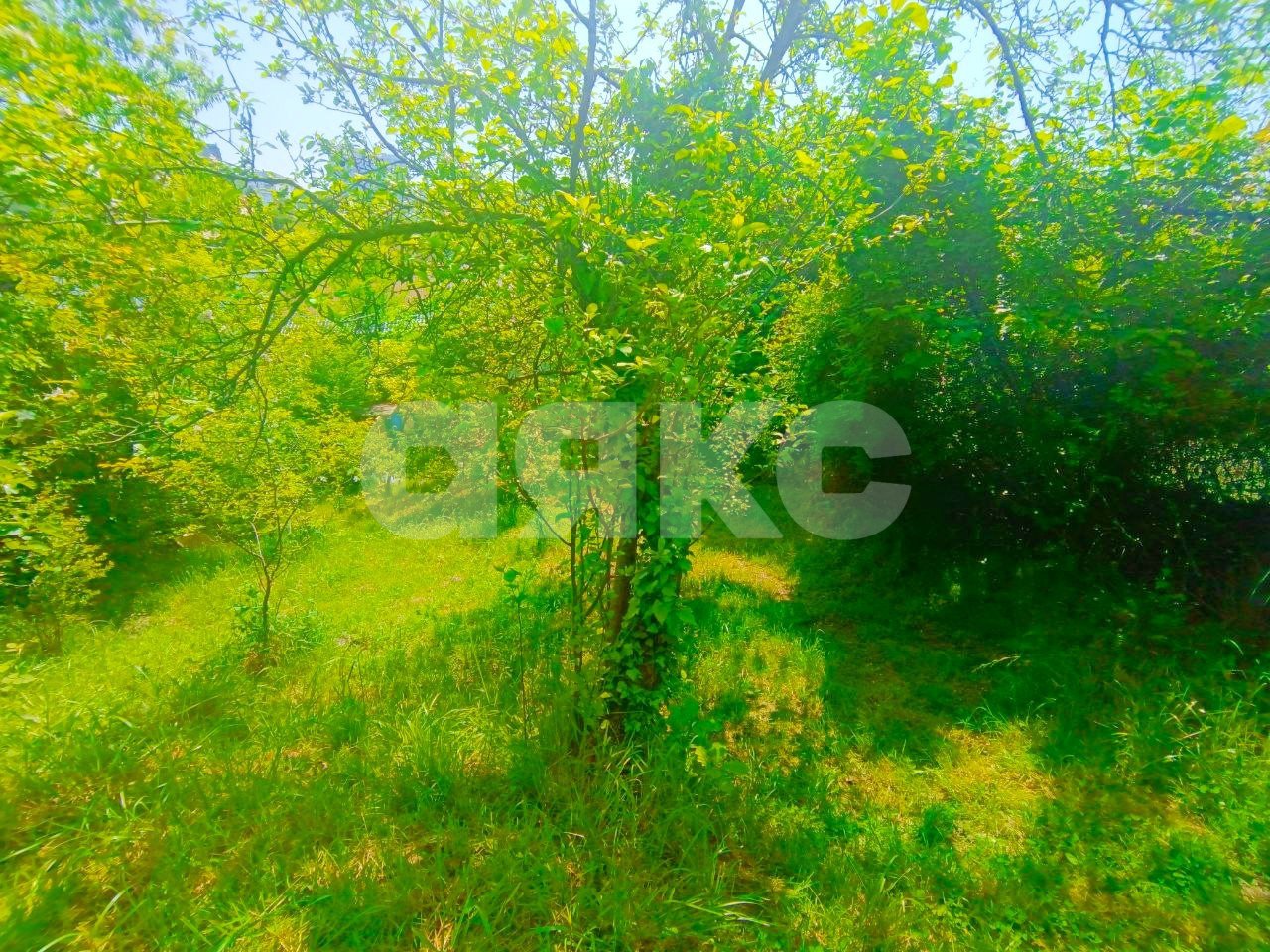 Фото №10: Дом 59 м² + 7 сот. - Сочи, Центральный, мкр. Донская, пер. Виноградный