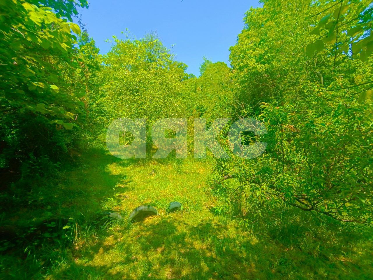 Фото №13: Дом 59 м² + 7 сот. - Сочи, Центральный, мкр. Донская, пер. Виноградный