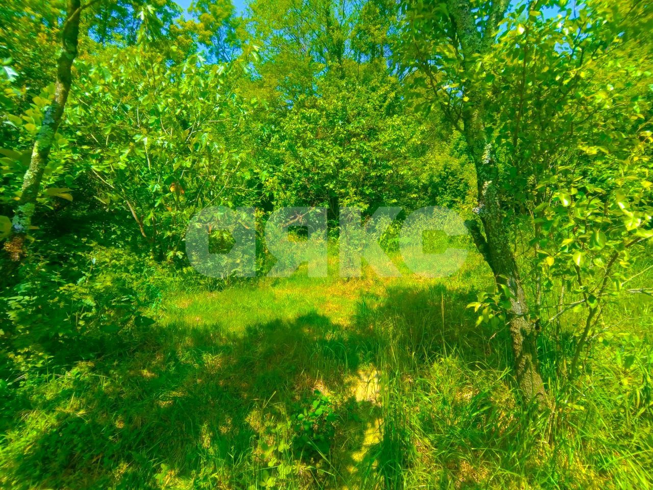 Фото №11: Дом 59 м² + 7 сот. - Сочи, Центральный, мкр. Донская, пер. Виноградный