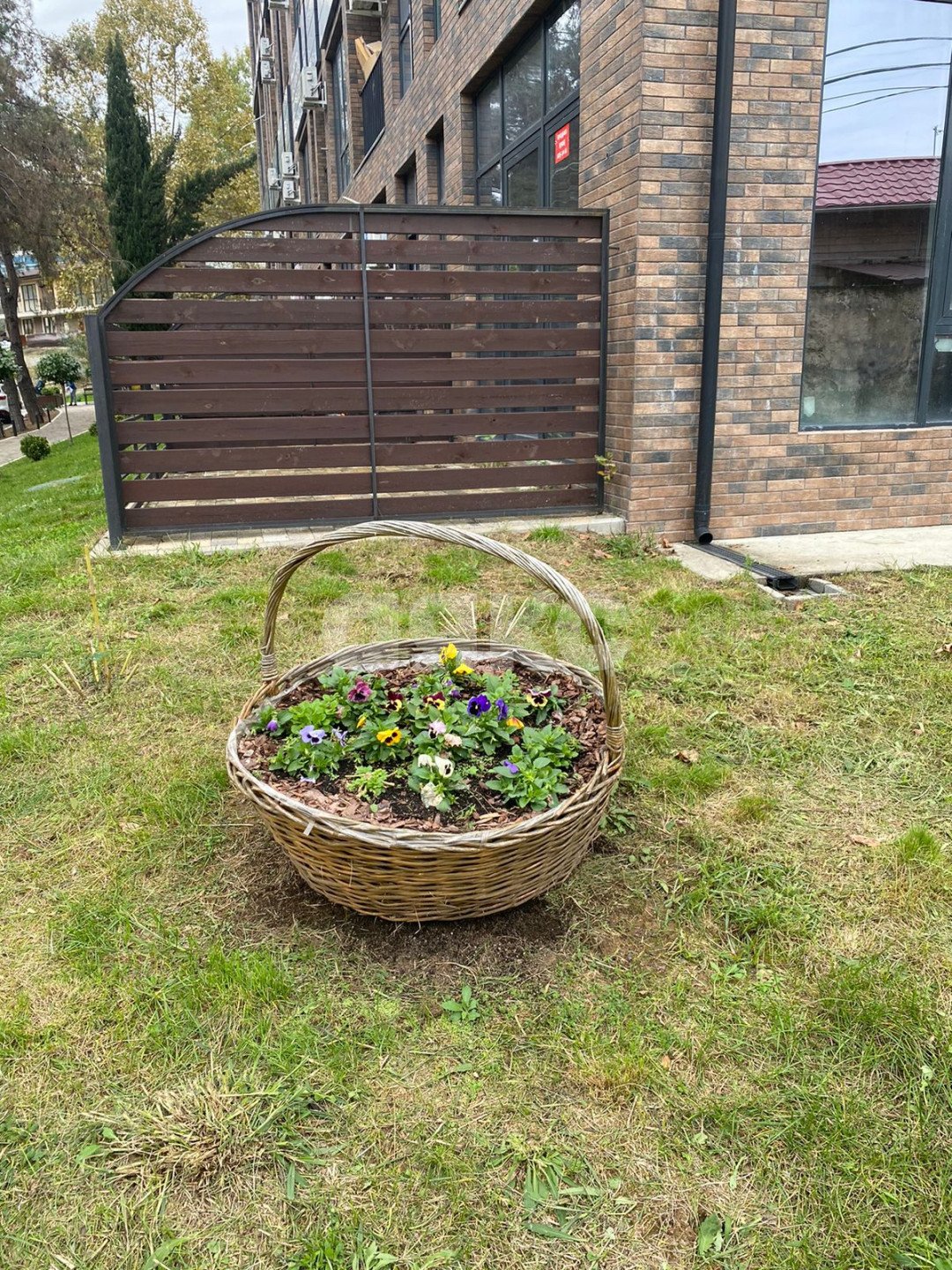 Фото №17: Студия 27 м² - Сочи, Центральный, мкр. Мамайка, ул. Полтавская, 3