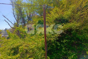 Фото №5: Участок садоводство - Сочи, мкр. Яна Фабрициуса, ул. Яна Фабрициуса