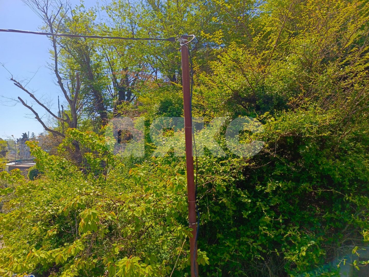 Фото №5: Участок садоводство 4.2 сот. - Сочи, Хостинский, мкр. Яна Фабрициуса, ул. Яна Фабрициуса