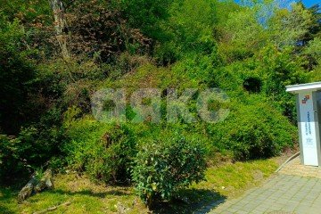 Фото №2: Участок садоводство - Сочи, мкр. Яна Фабрициуса, ул. Яна Фабрициуса