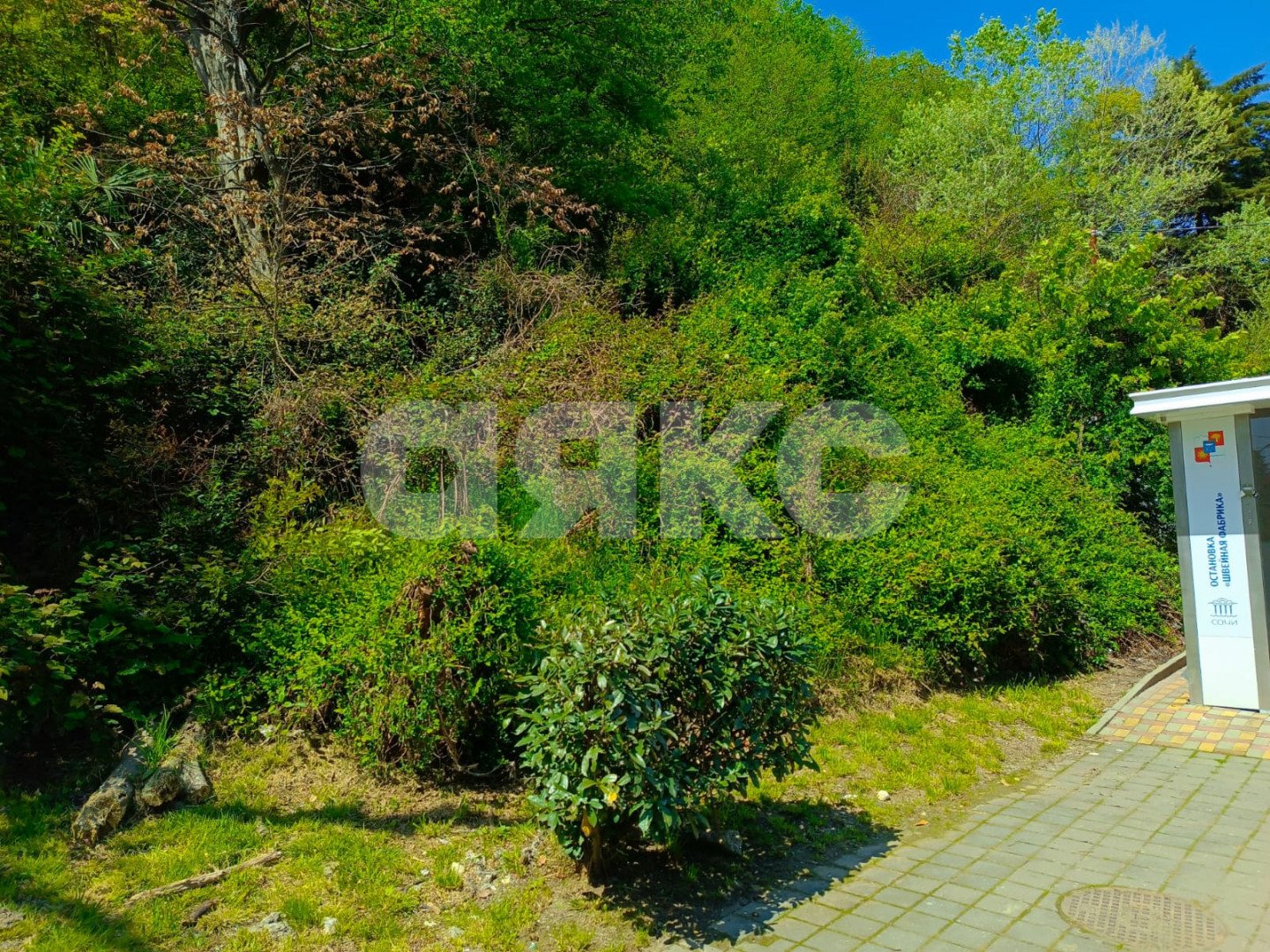 Фото №2: Участок садоводство 4.2 сот. - Сочи, Хостинский, мкр. Яна Фабрициуса, ул. Яна Фабрициуса