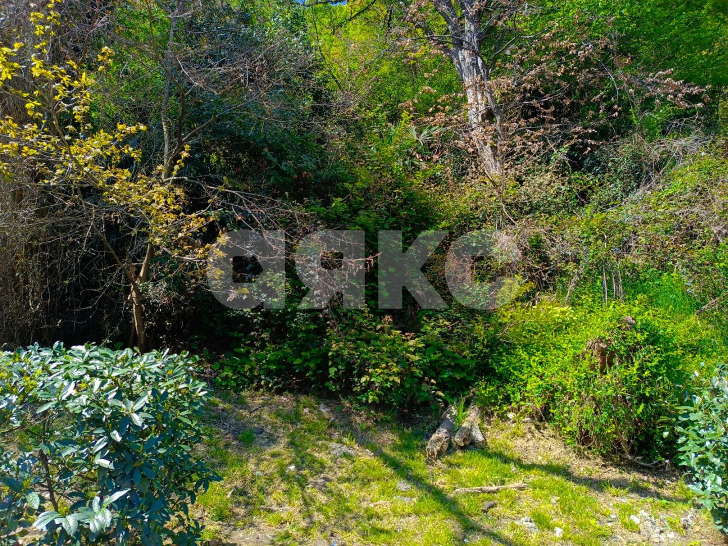 Фото №7: Участок садоводство 4.2 сот. - Сочи, Хостинский, мкр. Яна Фабрициуса, ул. Яна Фабрициуса