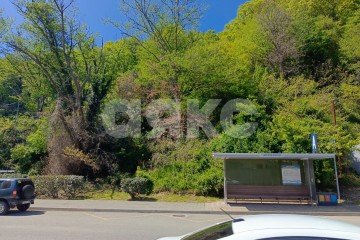 Фото №4: Участок садоводство - Сочи, мкр. Яна Фабрициуса, ул. Яна Фабрициуса