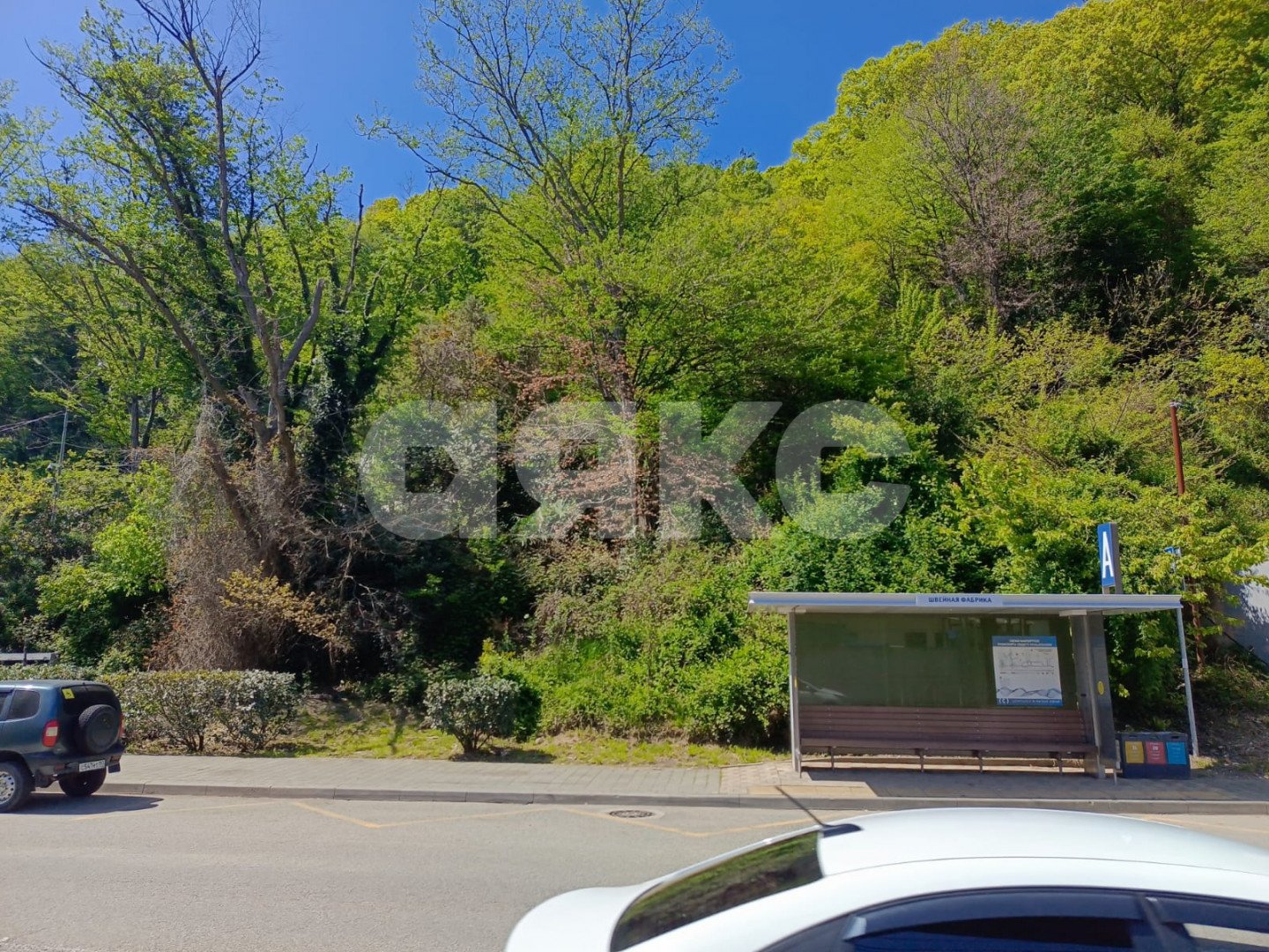 Фото №4: Участок садоводство 4.2 сот. - Сочи, Хостинский, мкр. Яна Фабрициуса, ул. Яна Фабрициуса