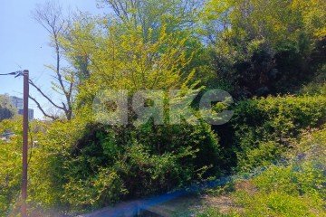 Фото №3: Участок садоводство - Сочи, мкр. Яна Фабрициуса, ул. Яна Фабрициуса