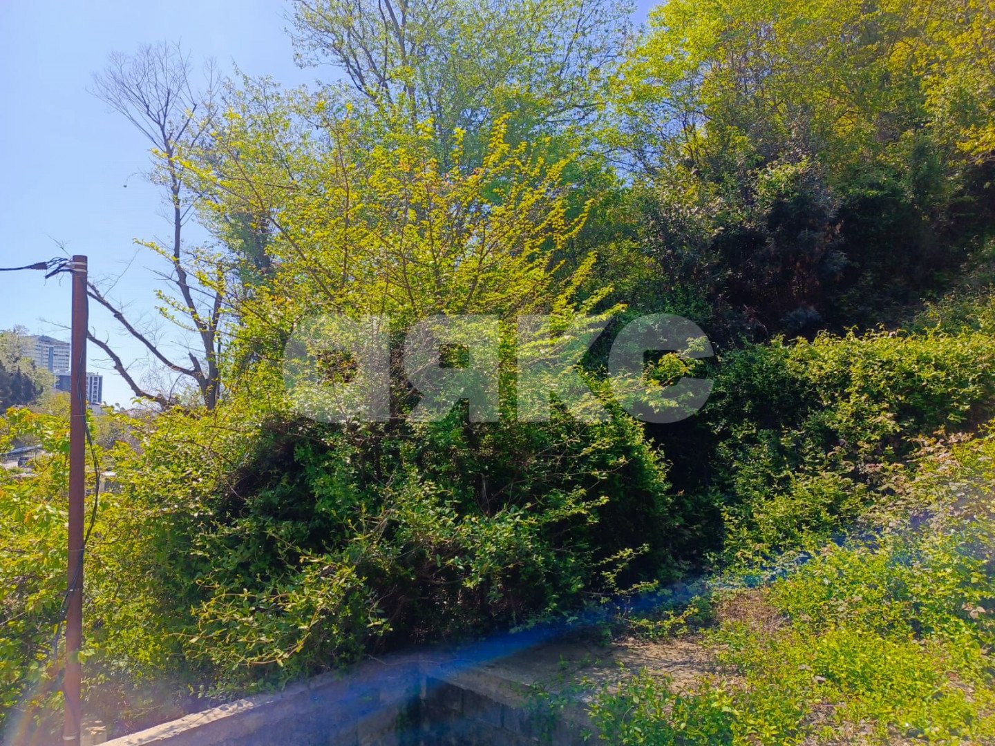 Фото №3: Участок садоводство 4.2 сот. - Сочи, Хостинский, мкр. Яна Фабрициуса, ул. Яна Фабрициуса