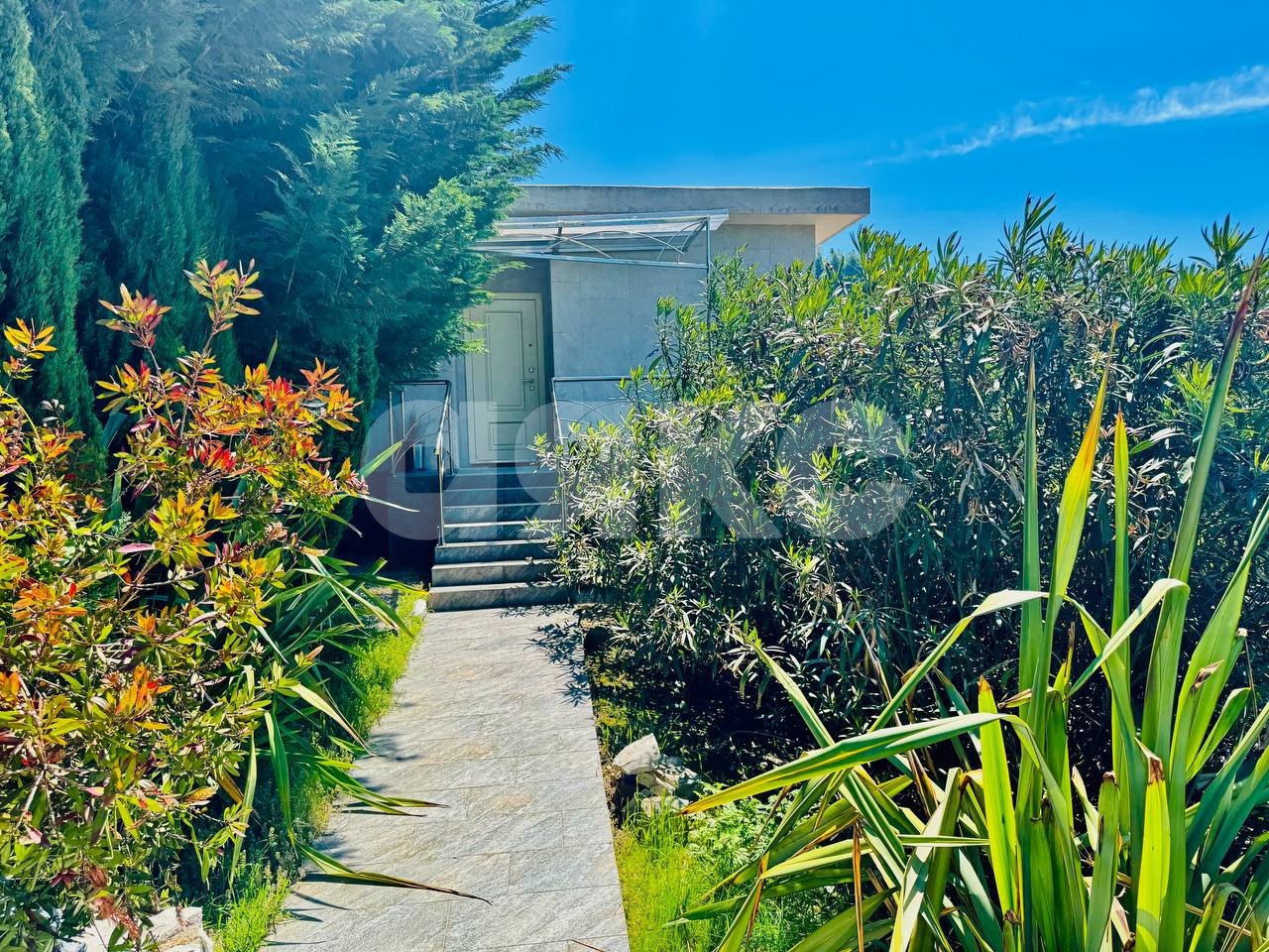 Фото №14: Дом 318 м² + 17.6 сот. - Хлебороб, Хостинский, ж/р Хоста, ул. Володарского, 33