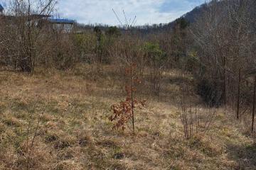 Фото №2: Земельный участок 4.14 сот. - Красная Воля, р. Адлерский, ул. Володи Ульянова, 9