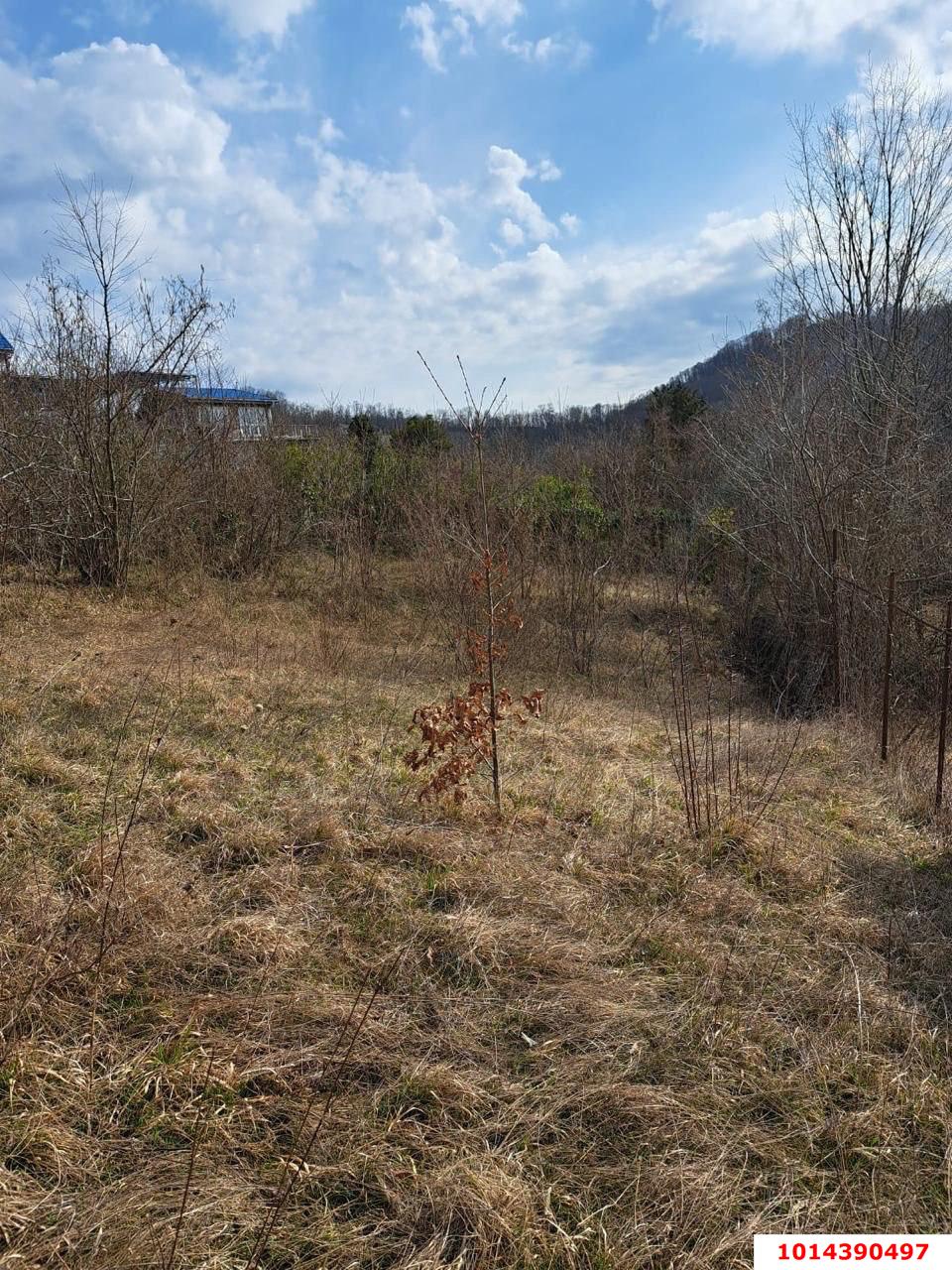 Фото №2: Земельный участок 4.14 сот. - Красная Воля, р. Адлерский, ул. Володи Ульянова, 9