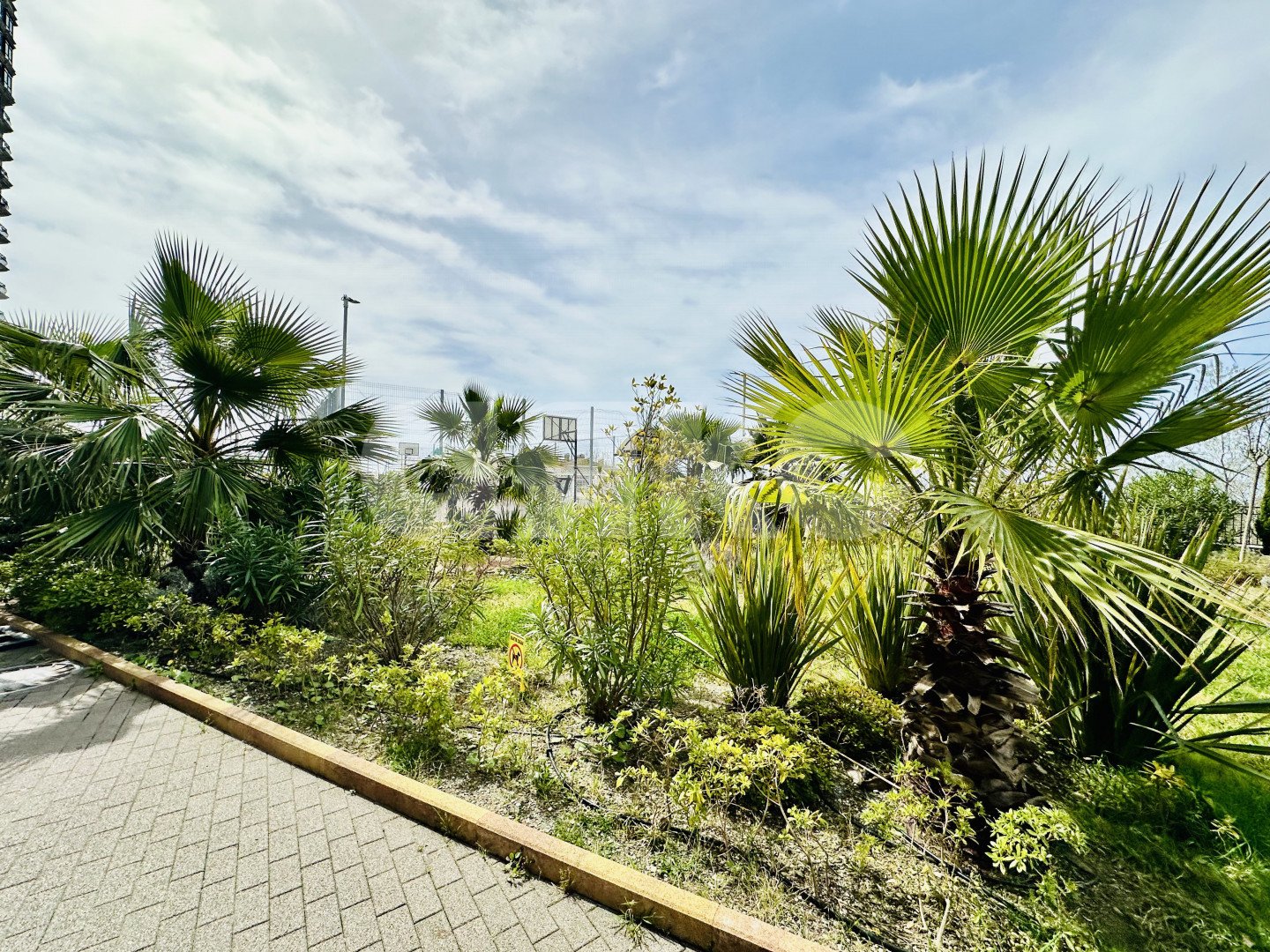 Фото №32: 1-комнатная квартира 46 м² - Сочи, Хостинский, мкр. Яна Фабрициуса, ул. Яна Фабрициуса, 2/23М