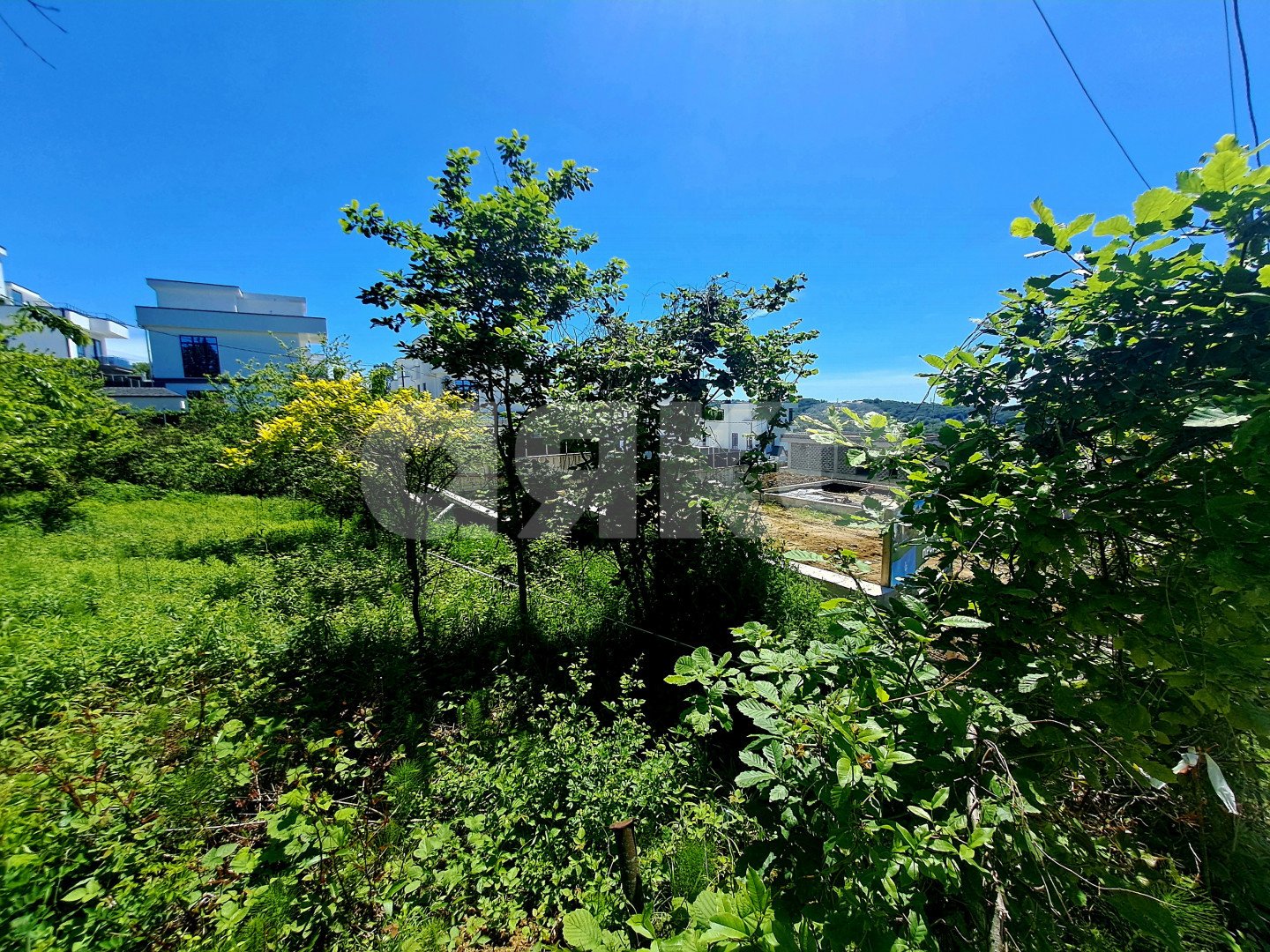 Фото №1: Земельный участок под ИЖС 5.29 сот. - Черешня, р. Адлерский