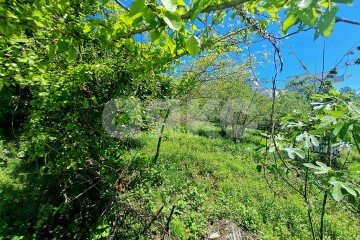 Фото №3: Земельный участок под ИЖС - Черешня, р. Адлерский, 