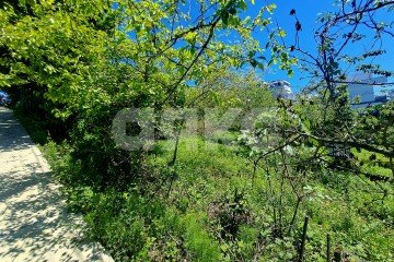 Фото №4: Земельный участок под ИЖС - Черешня, р. Адлерский, 