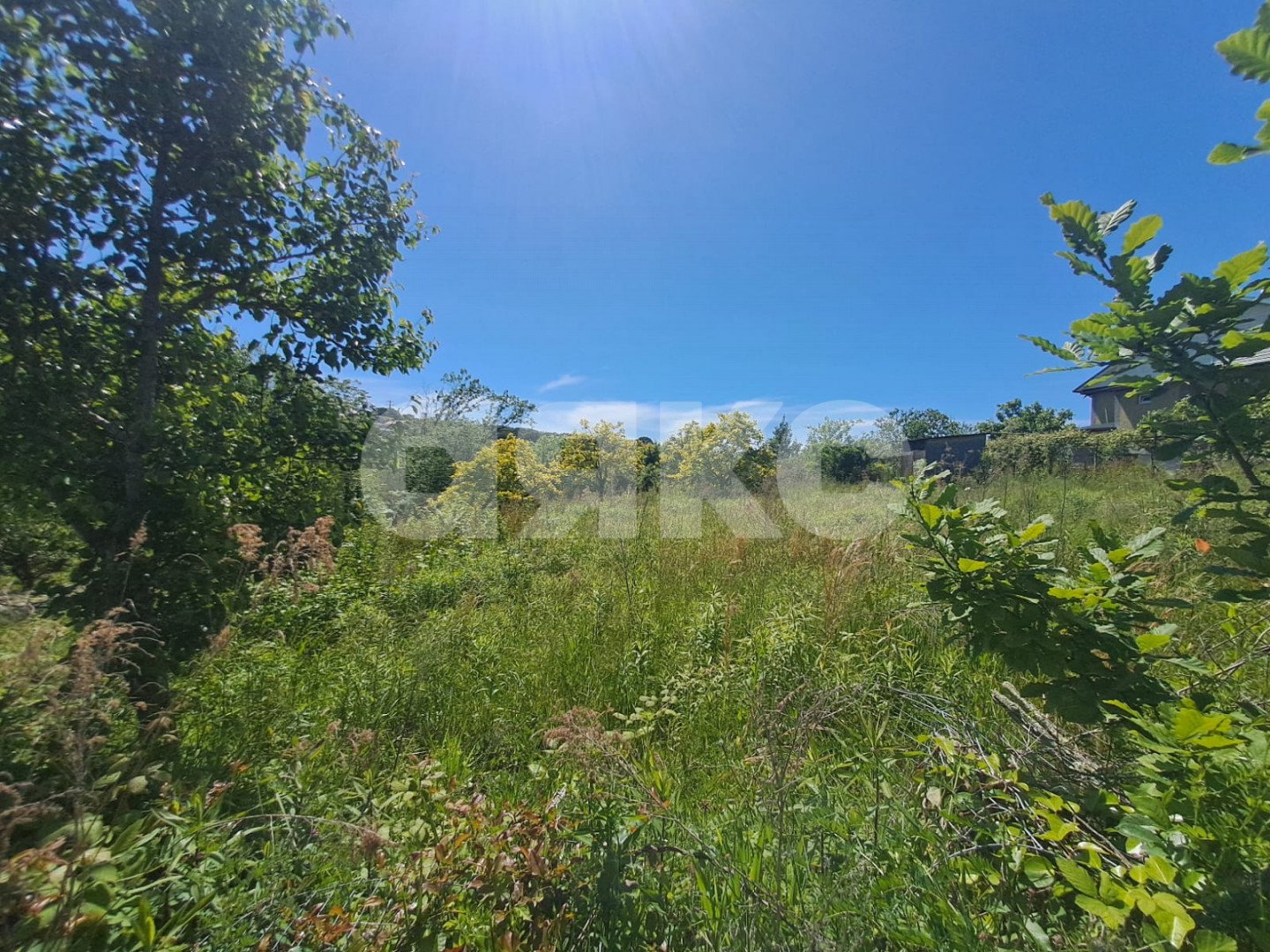 Фото №1: Земельный участок под ИЖС 6 сот. - Черешня, р. Адлерский, ул. Владимировская, 91А