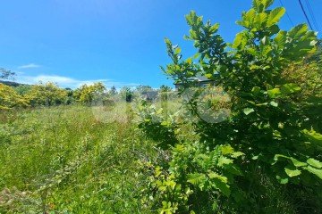 Фото №3: Земельный участок под ИЖС - Черешня, р. Адлерский, ул. Владимировская, 91А