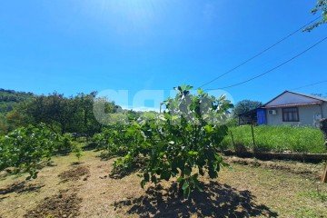 Фото №2: Земельный участок под ИЖС - Черешня, р. Адлерский, ул. Владимировская, 91А