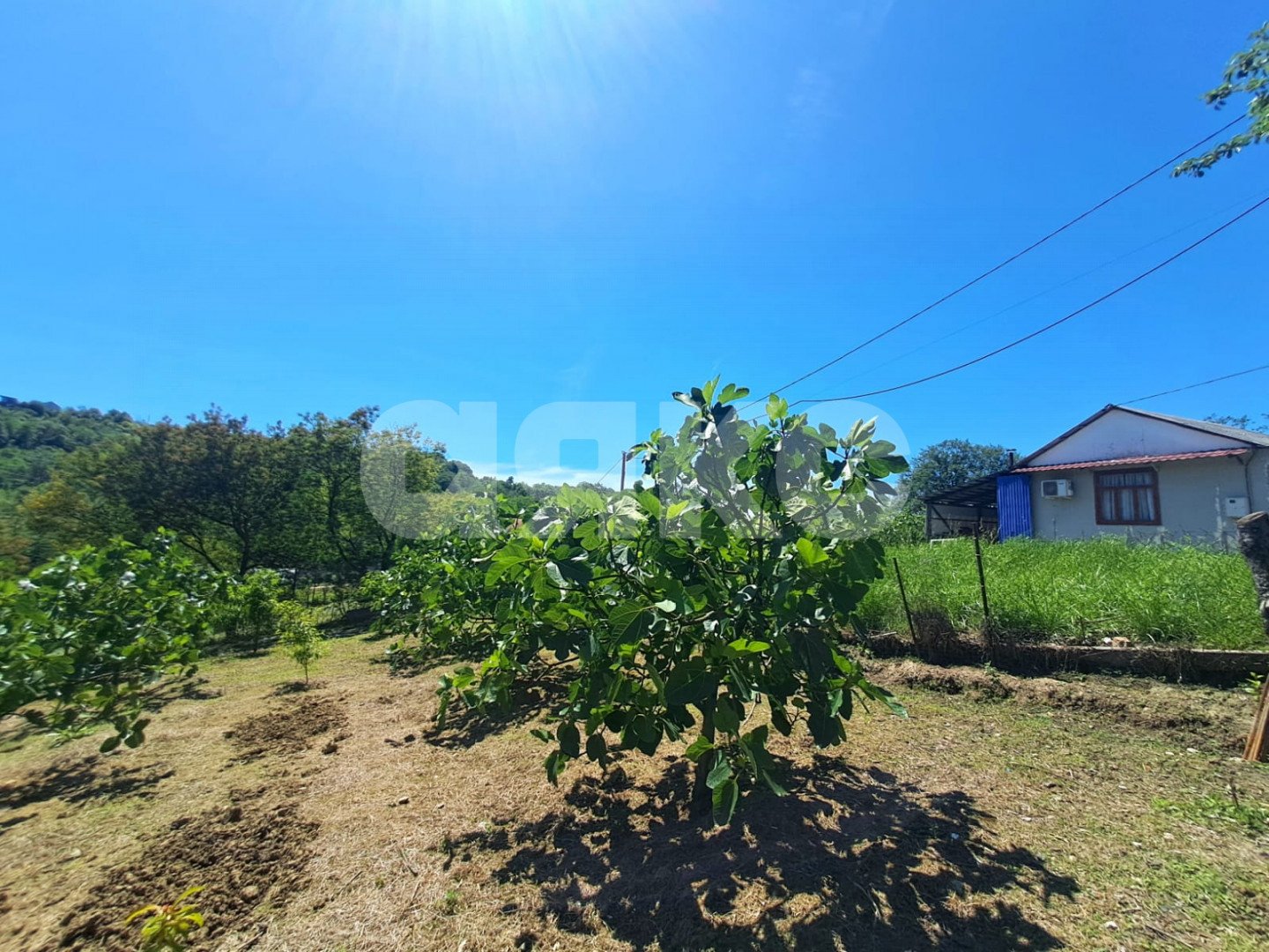 Фото №2: Земельный участок под ИЖС 6 сот. - Черешня, р. Адлерский, ул. Владимировская, 91А