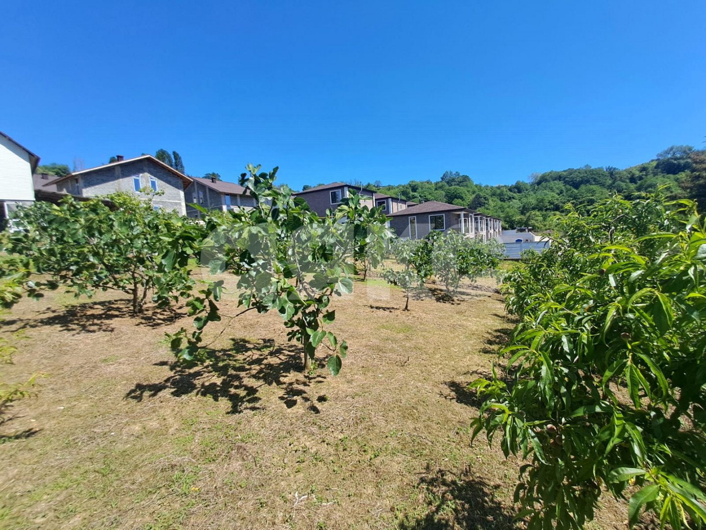 Фото №5: Земельный участок под ИЖС 6 сот. - Черешня, р. Адлерский, ул. Владимировская, 91А