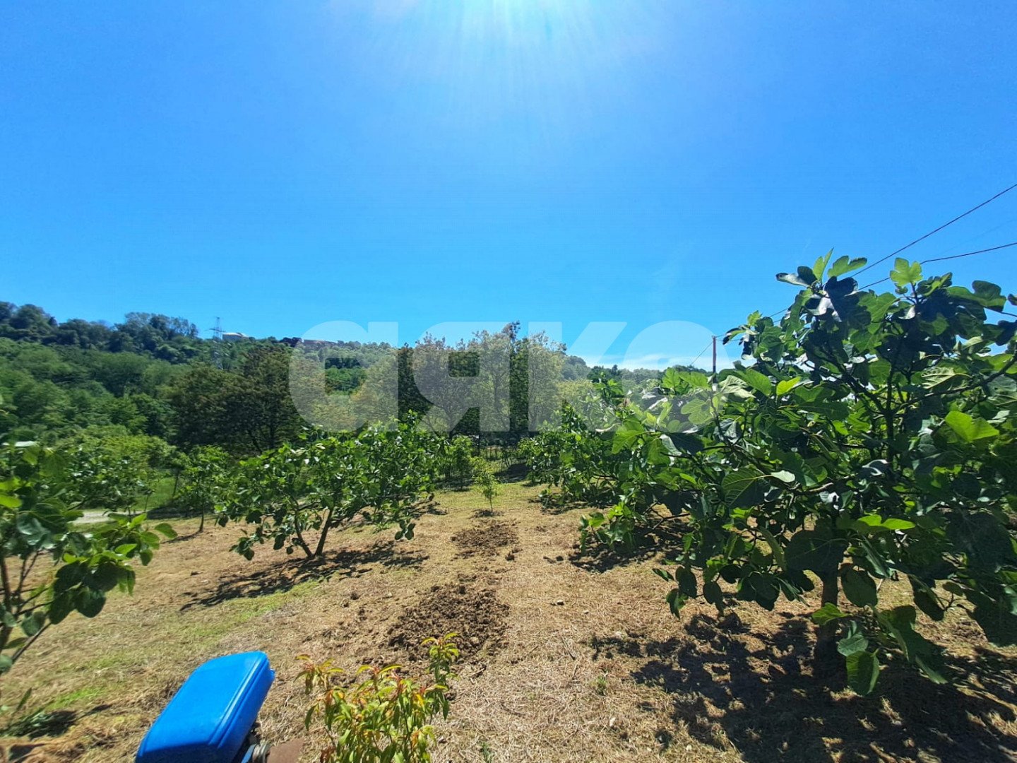 Фото №4: Земельный участок под ИЖС 6 сот. - Черешня, р. Адлерский, ул. Владимировская, 91А