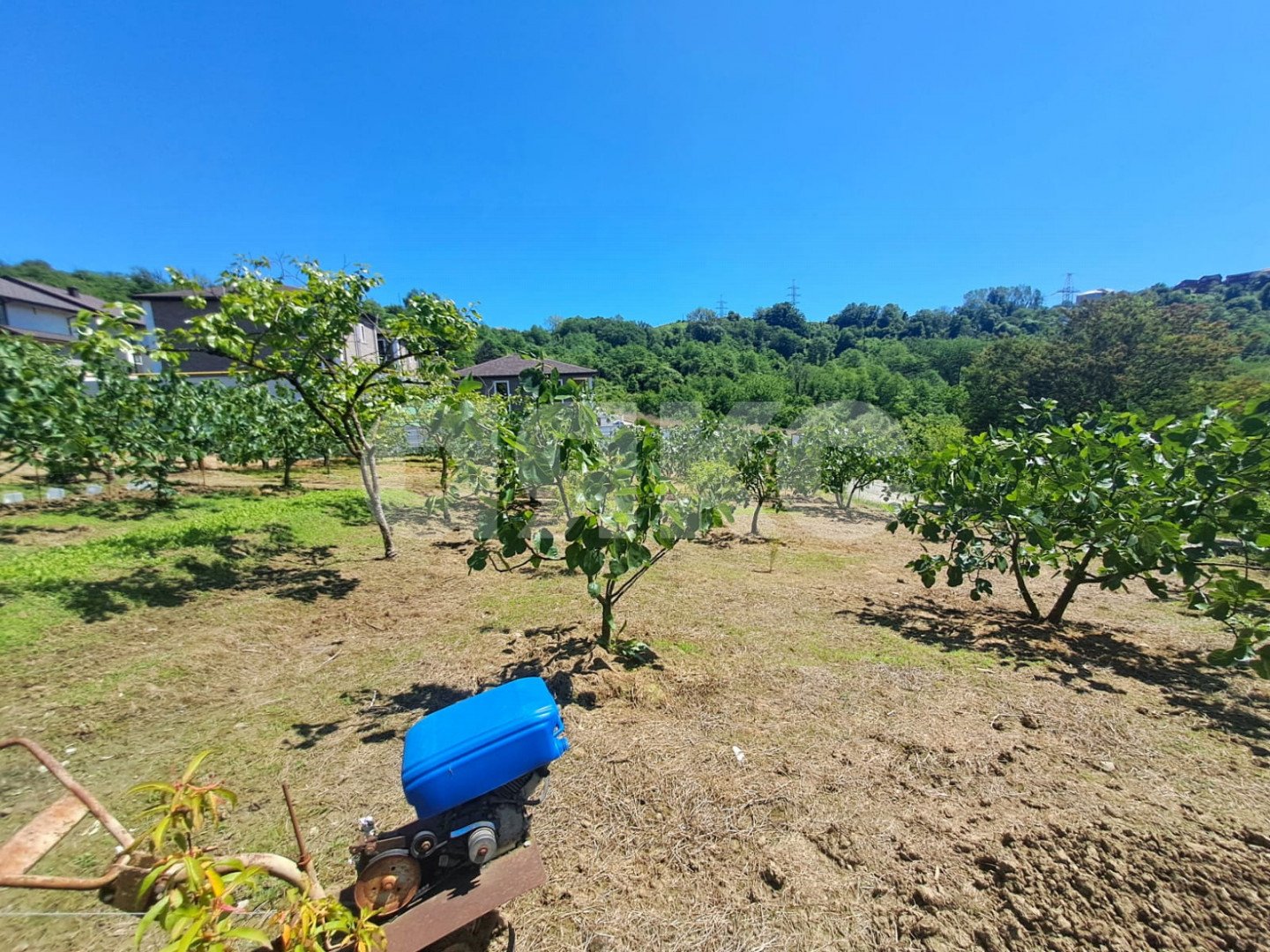 Фото №7: Земельный участок под ИЖС 6 сот. - Черешня, р. Адлерский, ул. Владимировская, 91А