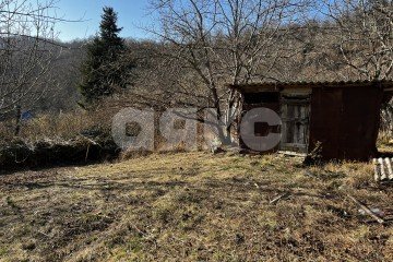 Фото №1: Личное подсобное хозяйство - Илларионовка, р. Адлерский, 