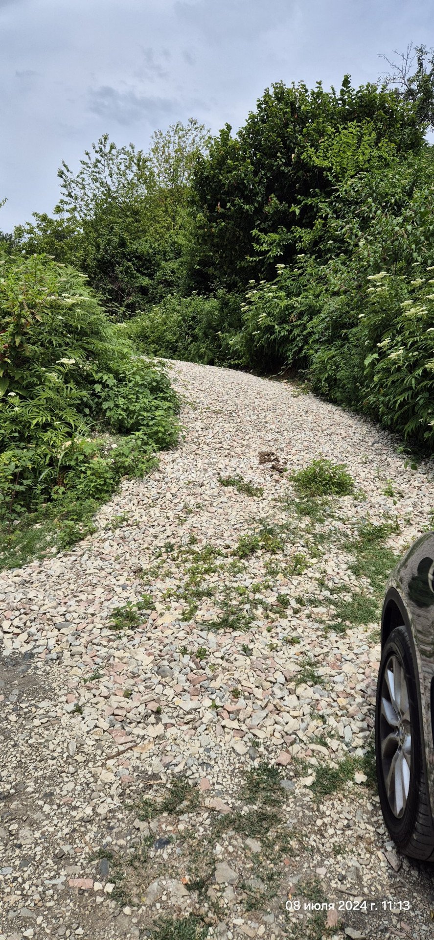 Фото №12: Личное подсобное хозяйство 7 сот. - Илларионовка, р. Адлерский