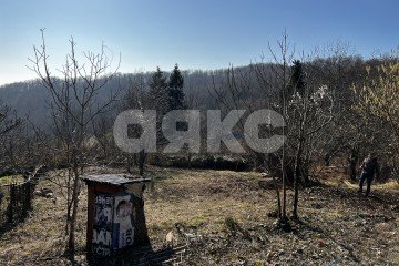 Фото №3: Личное подсобное хозяйство - Илларионовка, р. Адлерский, 