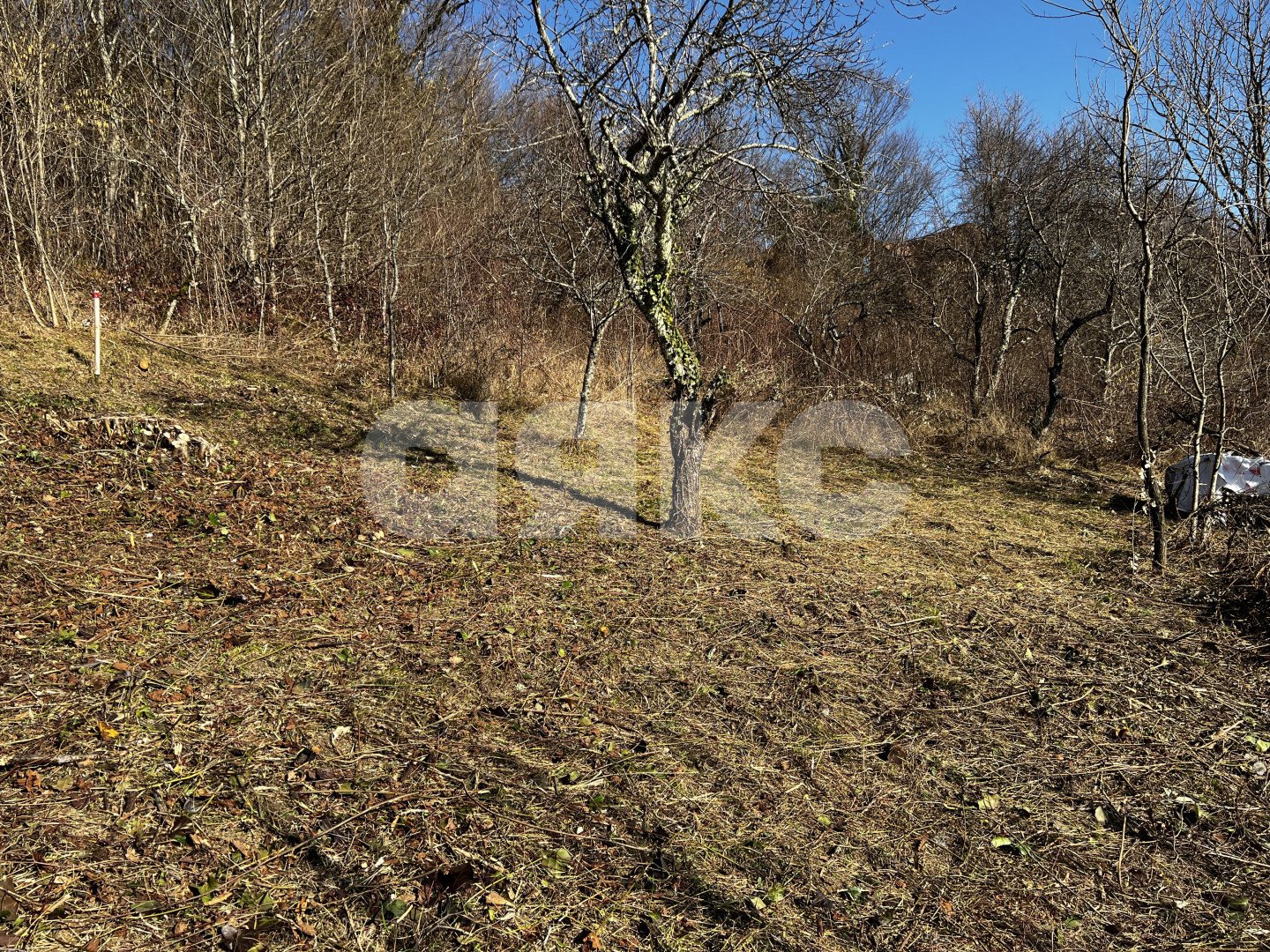 Фото №9: Личное подсобное хозяйство 7 сот. - Илларионовка, р. Адлерский