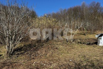 Фото №2: Личное подсобное хозяйство - Илларионовка, р. Адлерский, 