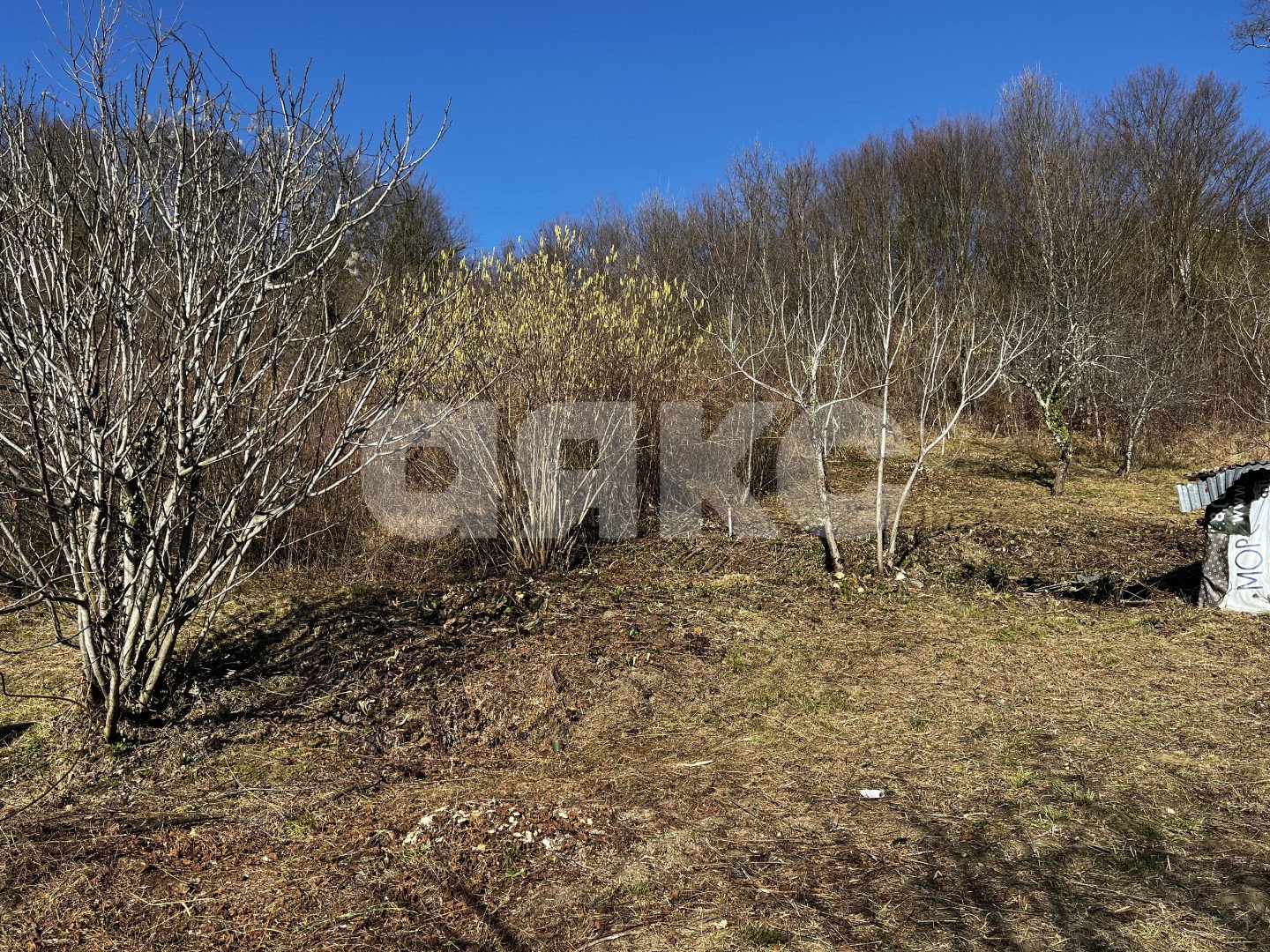 Фото №2: Личное подсобное хозяйство 7 сот. - Илларионовка, р. Адлерский