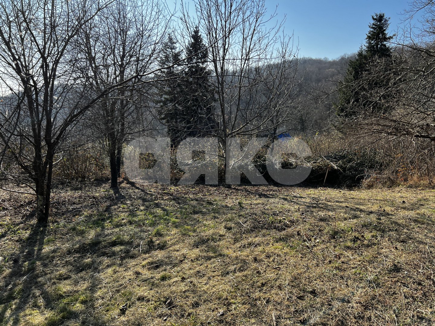 Фото №6: Личное подсобное хозяйство 7 сот. - Илларионовка, р. Адлерский