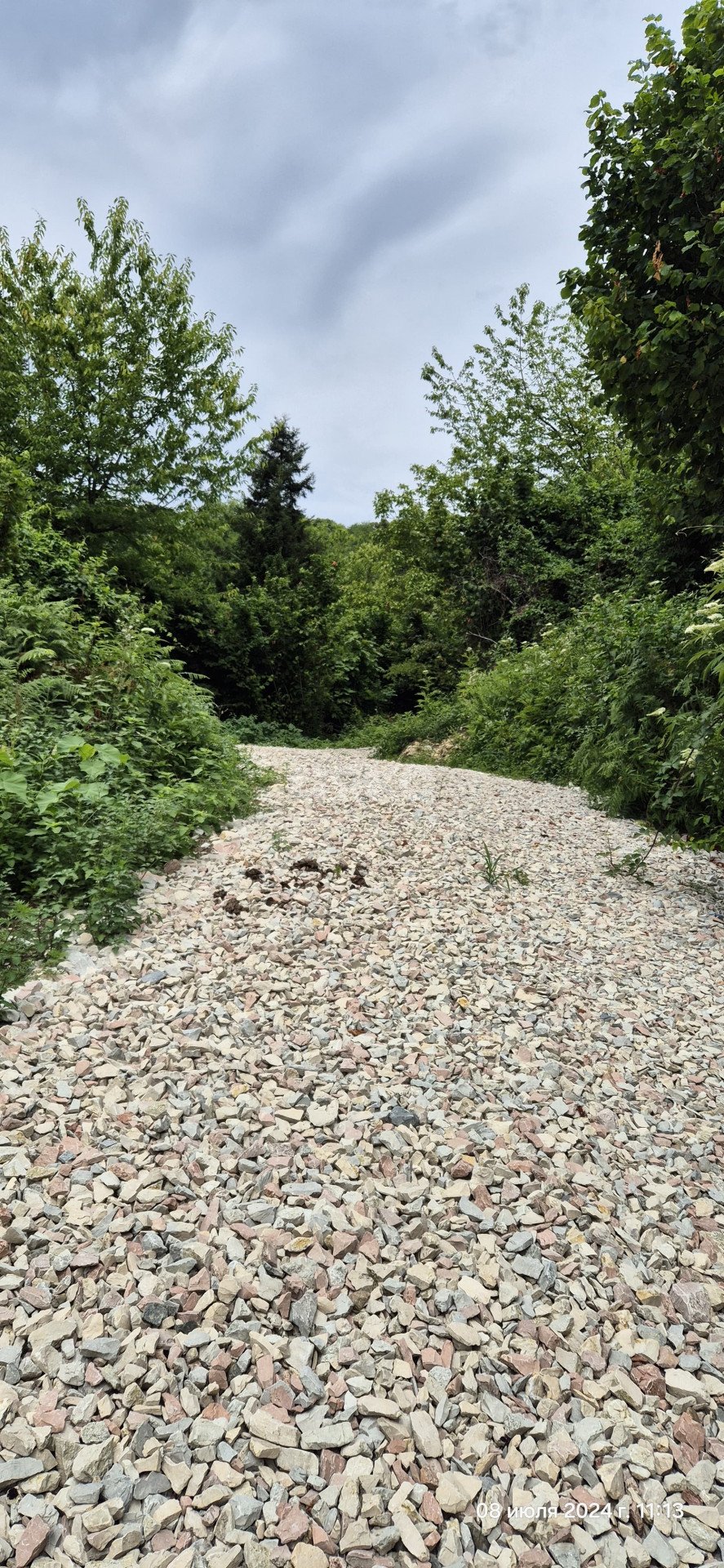 Фото №13: Личное подсобное хозяйство 7 сот. - Илларионовка, р. Адлерский