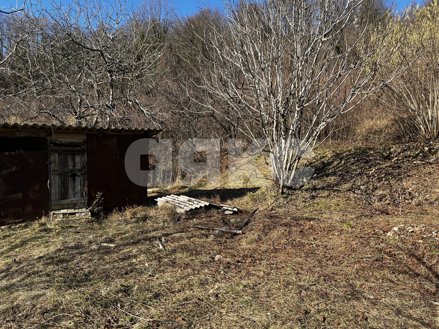 Фото №11: Личное подсобное хозяйство 7 сот. - Илларионовка, р. Адлерский