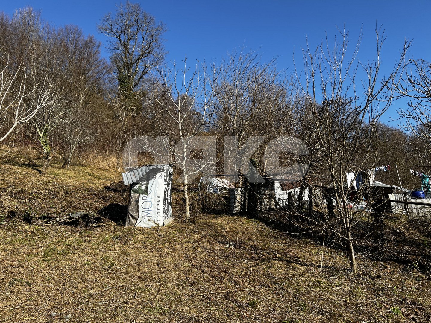 Фото №4: Личное подсобное хозяйство 7 сот. - Илларионовка, р. Адлерский